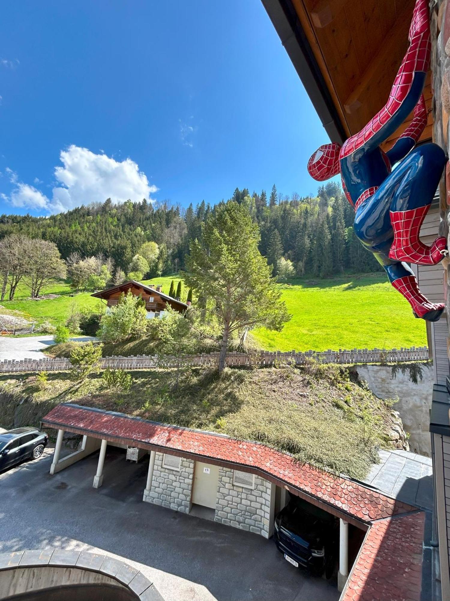 Weitenmoos Panorama Apartments Sankt Johann im Pongau Exterior foto